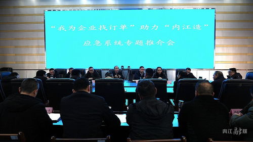 內(nèi)江市應(yīng)急管理局以信息技術(shù)咨詢服務(wù)為橋梁，助力“內(nèi)江造”應(yīng)急系統(tǒng)產(chǎn)品開拓市場